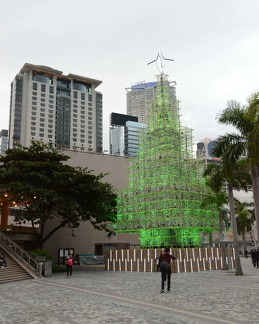 HK Christmas Tree Daylight